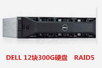 DELL 12块300G硬盘　RAID5