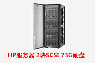 HP服务器 2块SCSI 73G硬盘