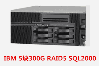 IBM 5块300G RAID5 SQL2000