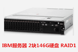  IBM服务器 2块146G硬盘 RAID1 