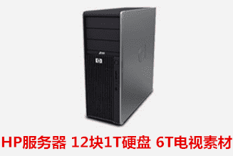 HP MSA2000  12块1TB 硬盘 6TB