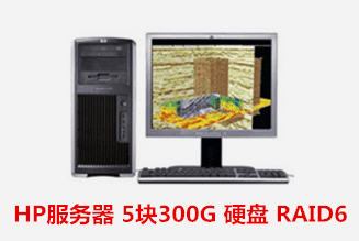 惠普 DL580G5 5块300G 硬盘 RAID6