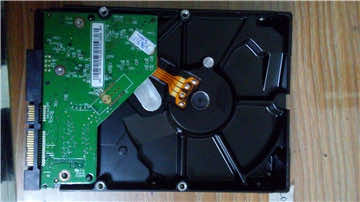 DSC_0110.jpg DSC_0110.jpg