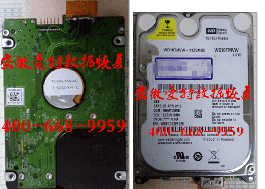 WD1T移动移盘