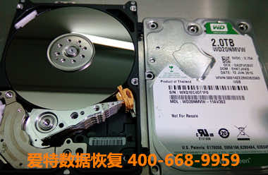 西数移动硬盘数据恢复