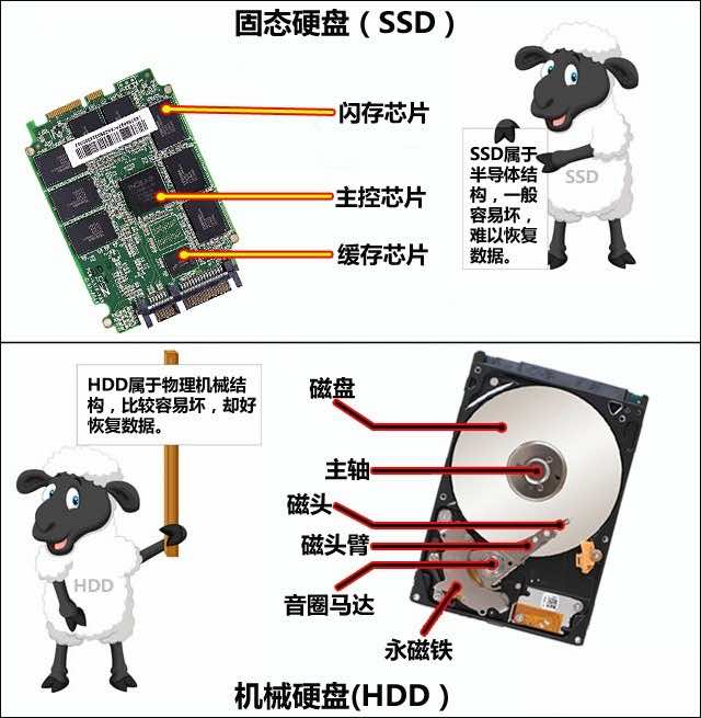 移动硬盘数据恢复