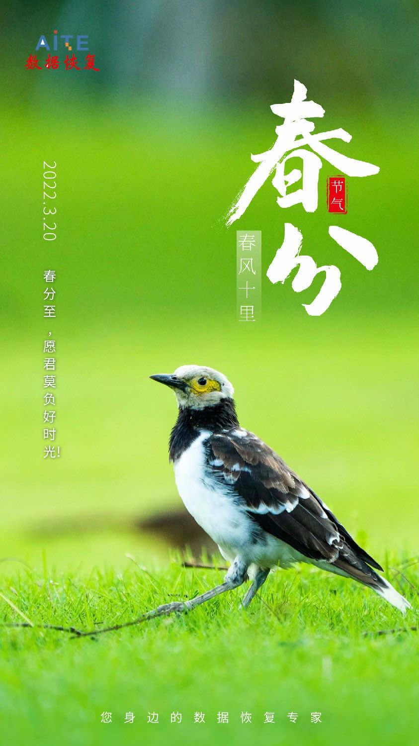 春分至，春风十里，愿君莫负好时光！