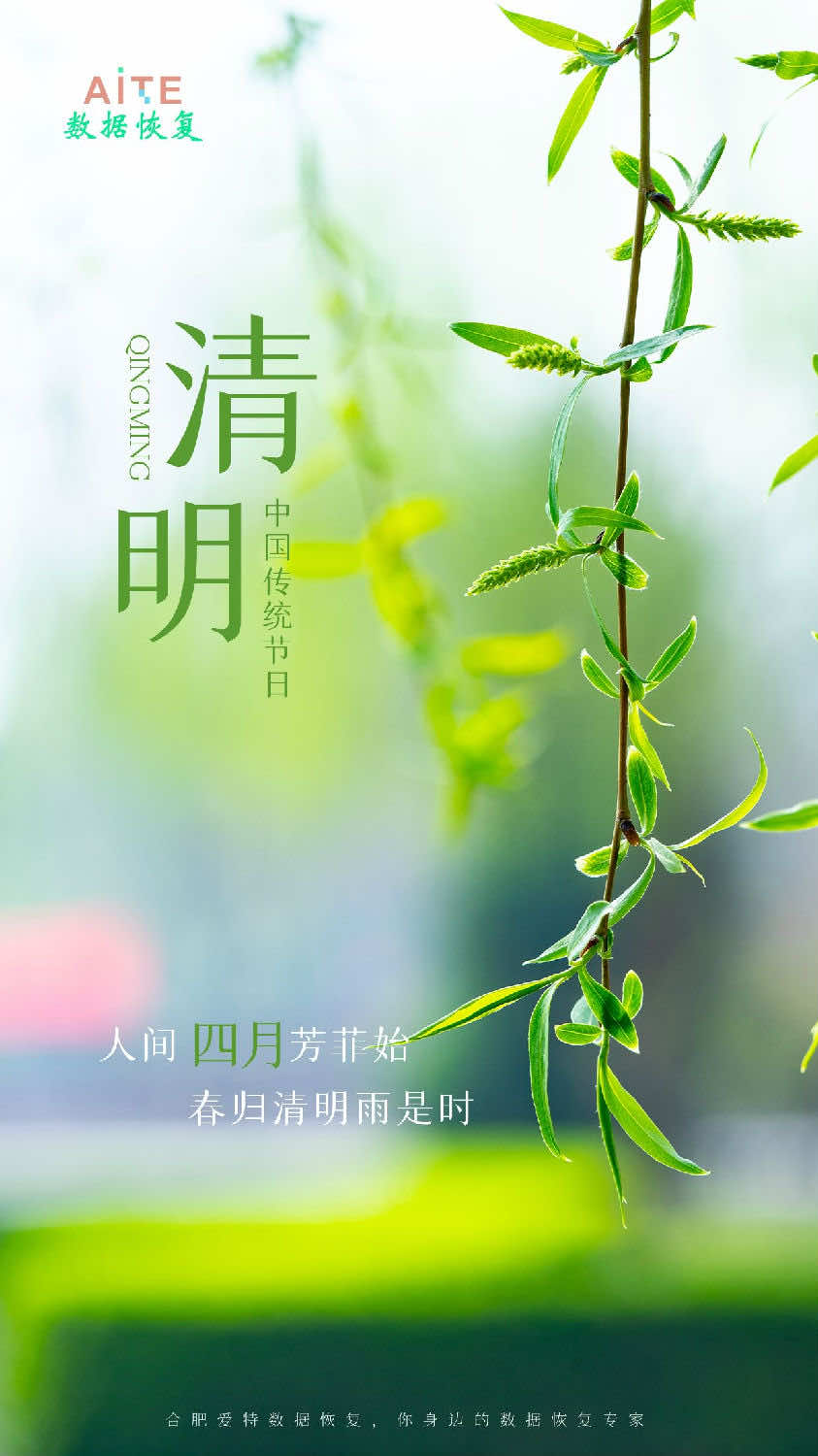 清明时节话清明,你我共寄清明情