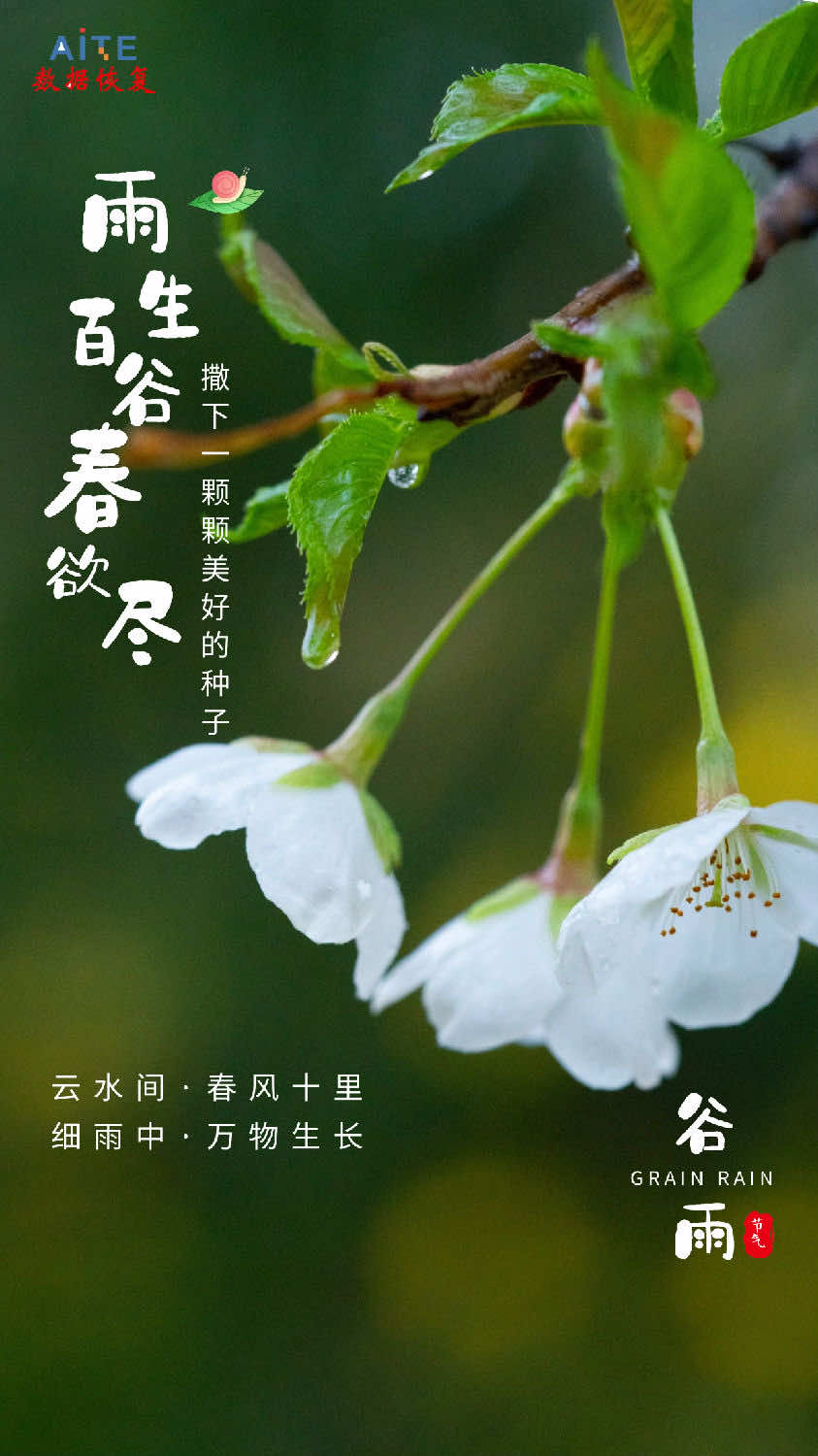 今日谷雨，春季的最后一个节气