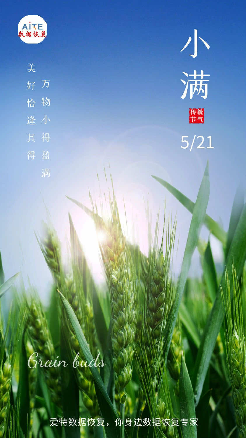  进入小满节气,南方开始种植水稻,北方夏熟作物籽粒开始饱满