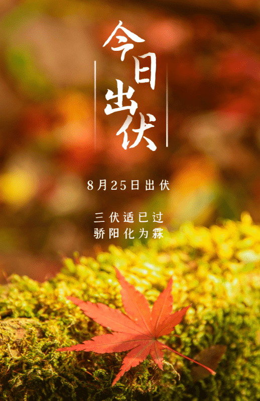 今日出伏啦！合肥的天气舒适宜人