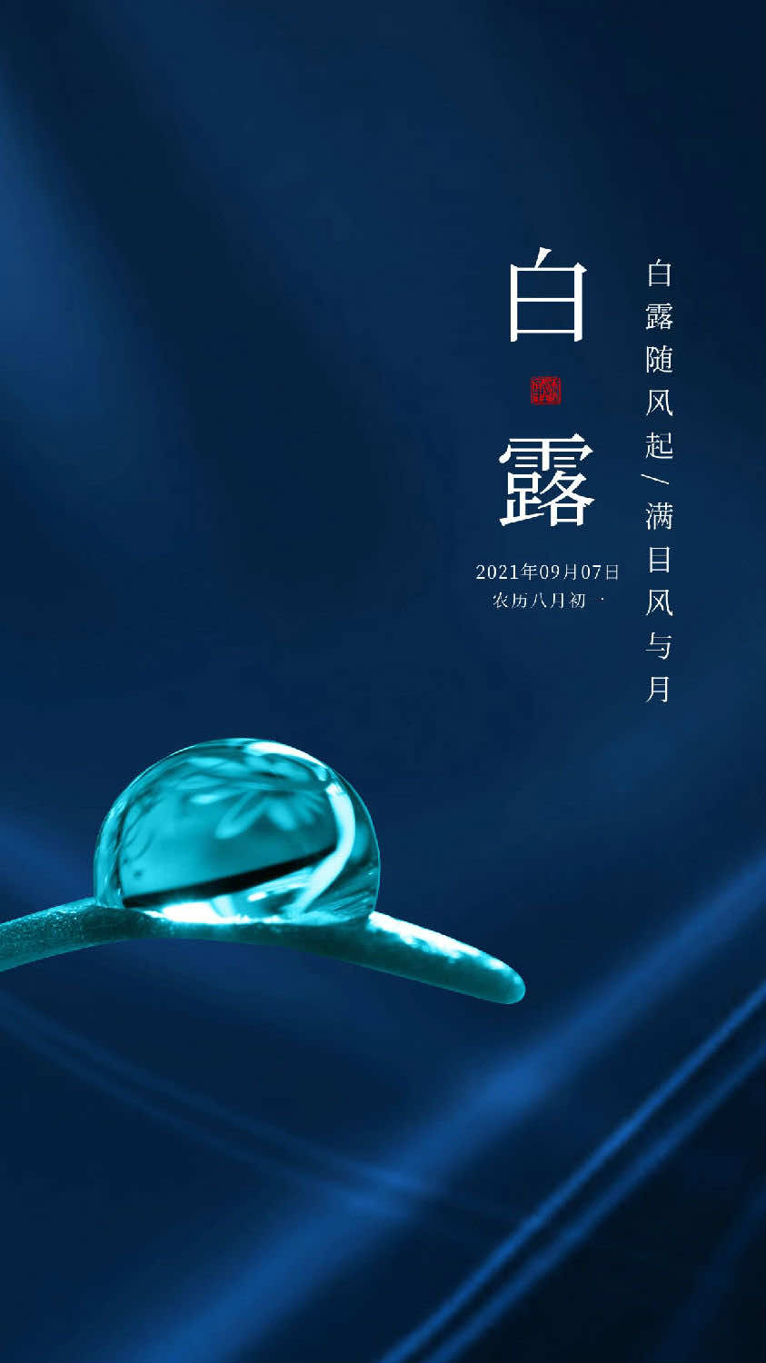 今日白露|农历二十四节气中的第十五个