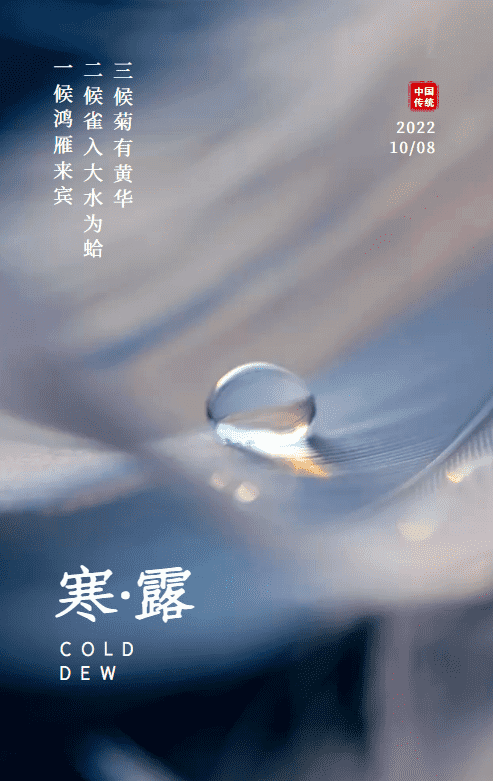 今日寒露|二十四节气第十七个节气，秋季的第五个节气