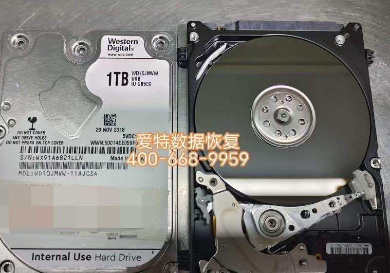 西部数据1TB移动硬盘不识别数据恢复案例