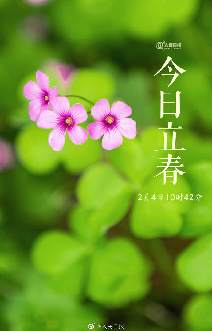 一年伊始，万物回春