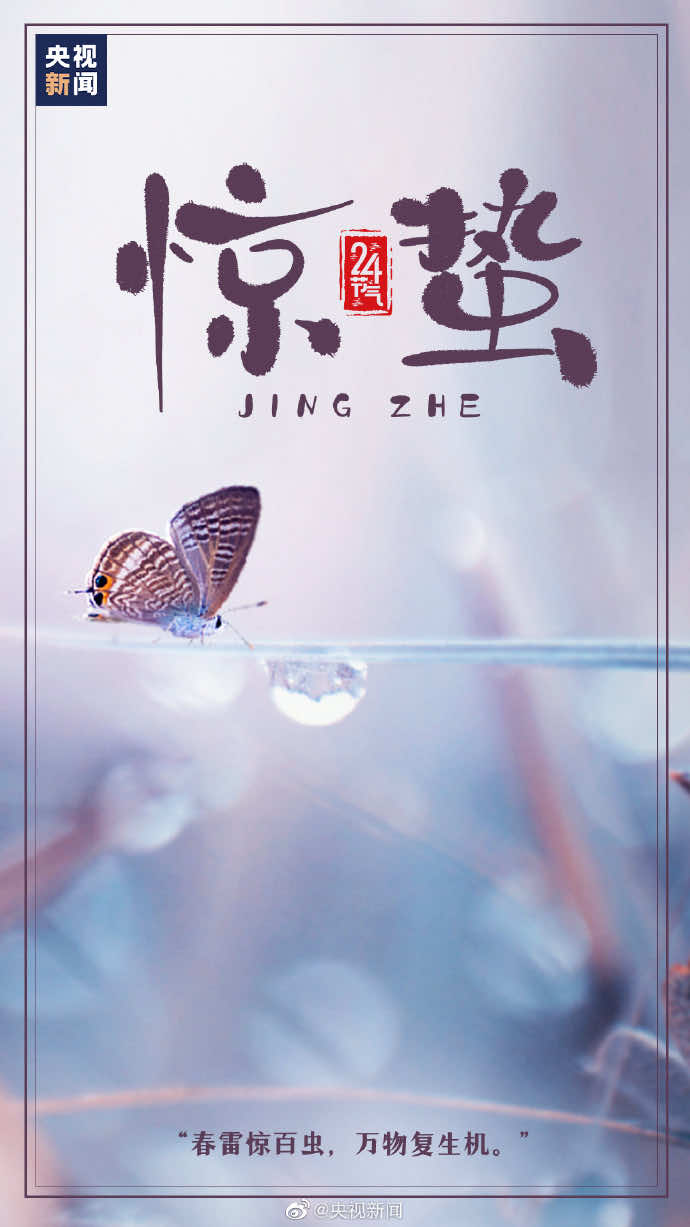 今日4时36分，迎来&ldquo;惊蛰&rdquo;节气，预示着仲春时节的开始。此时节，大地春回，风和日丽，草木初萌。