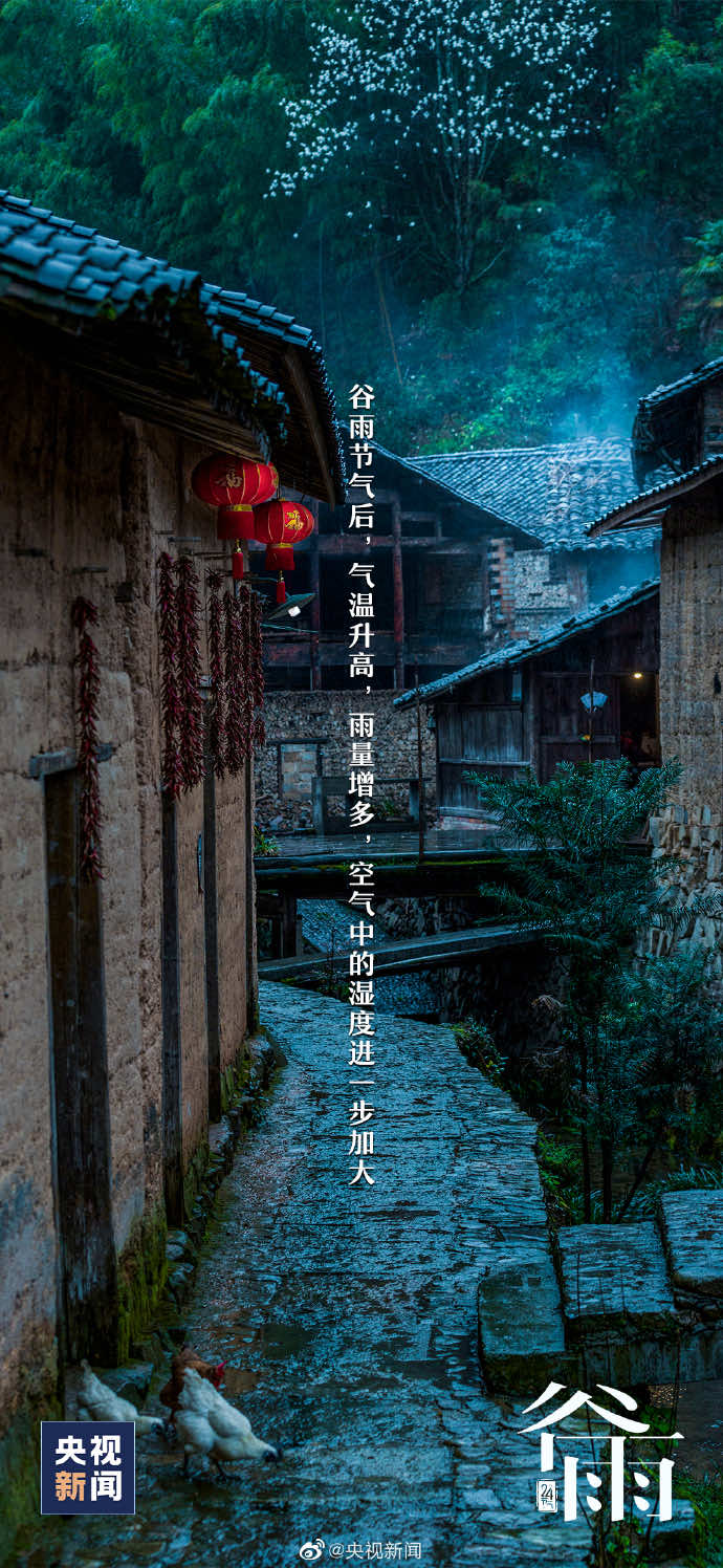 今日谷雨|谷雨春光晓，山川黛色青