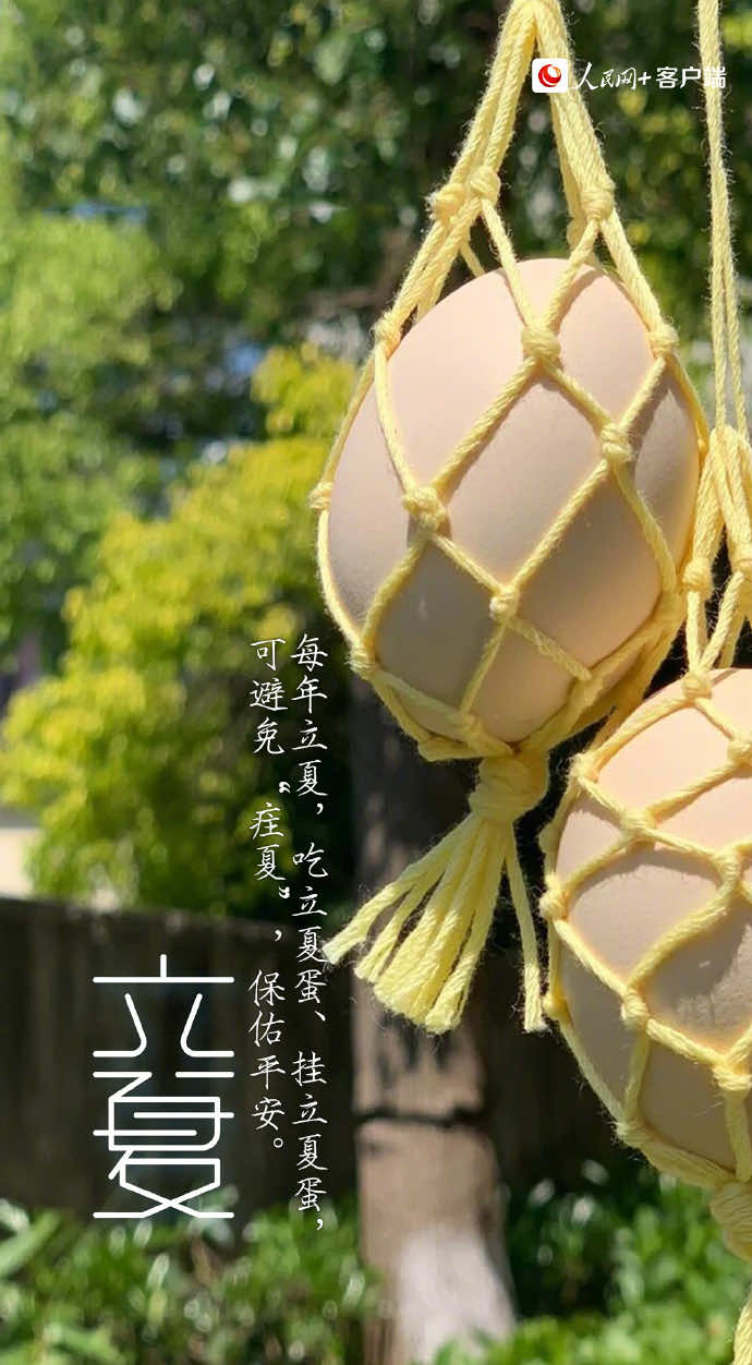 今日立夏|芳菲未歇，夏日悄然已至