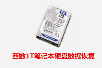 世安网络西数1T硬盘数据恢复成功