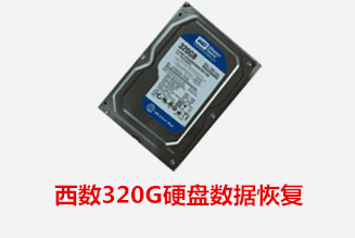 合肥个人西数320G硬盘数据恢复成功