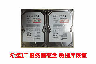 合肥潘先生1T希捷服务器硬盘数据恢复成功案例展示
