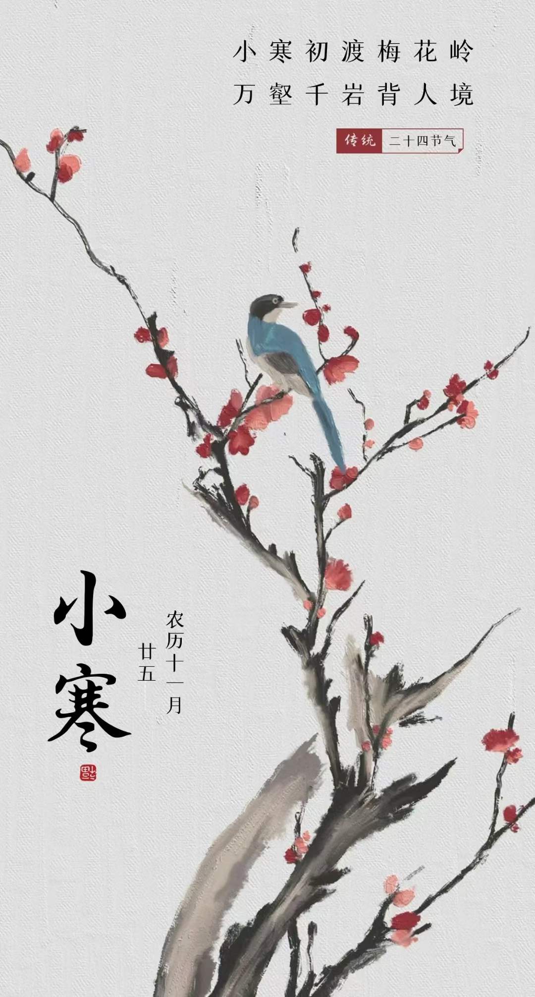 今日小寒，愿你温暖与希望并存！