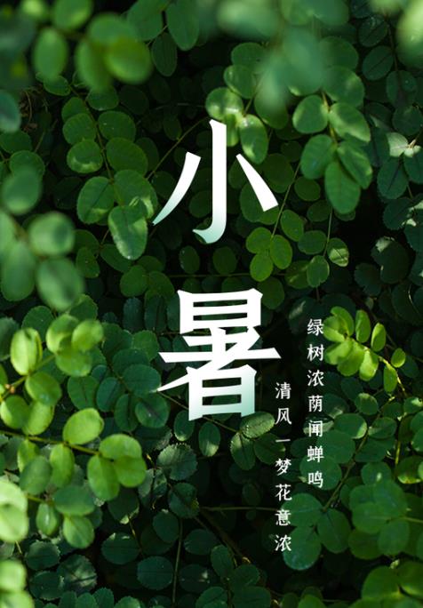 小暑时节，注意保护重要数据