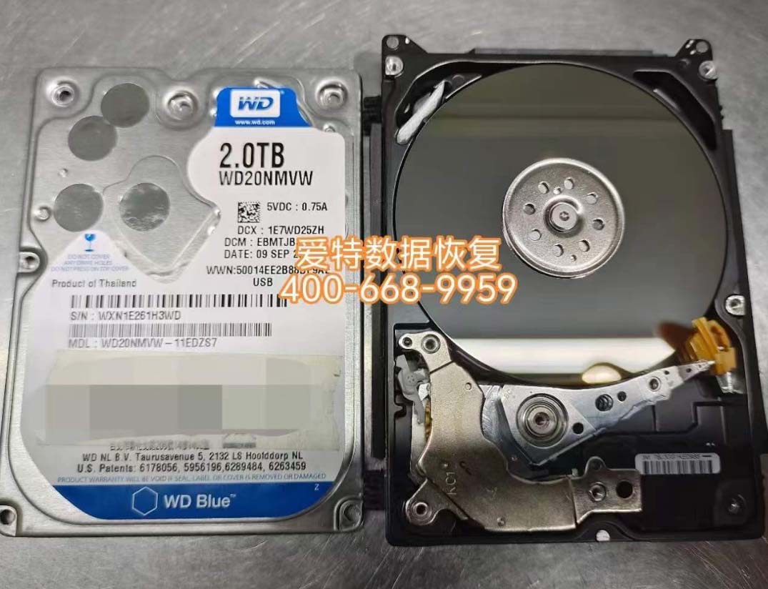 老款西部数据硬2T移动硬盘数据恢复!