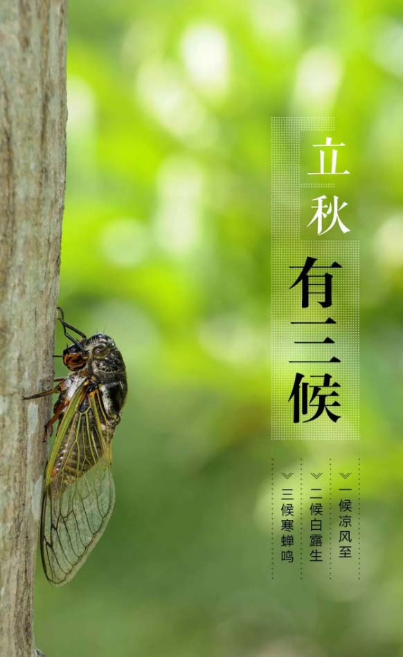 立秋，合肥爱特数据恢复助您恢复重要数据