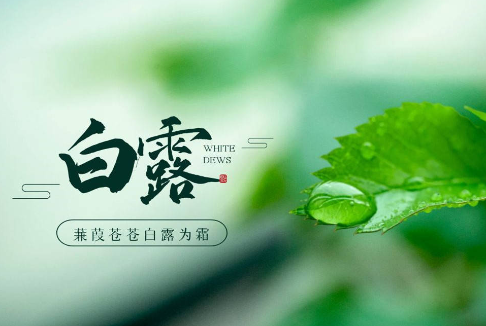 今日白露，爱特数据恢复温馨提示