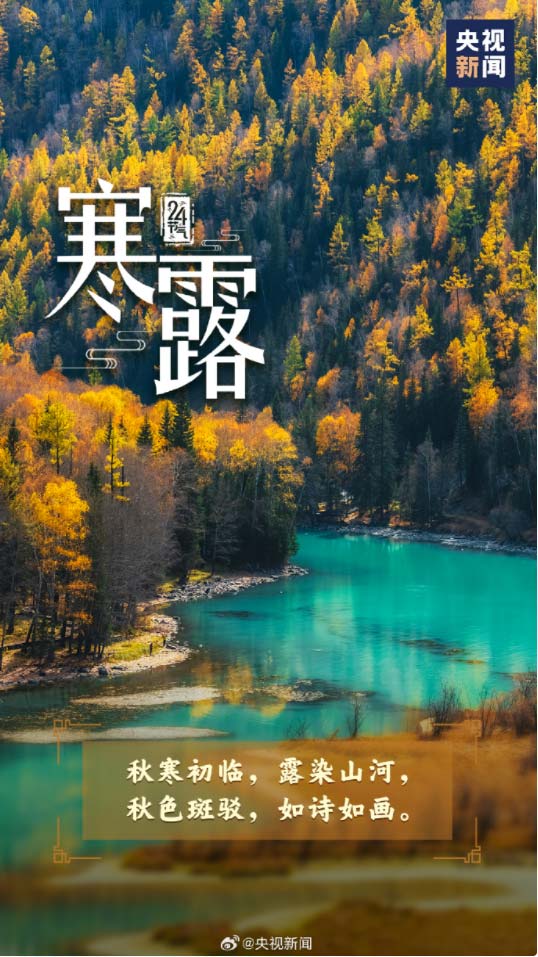 今日寒露,深秋已到!