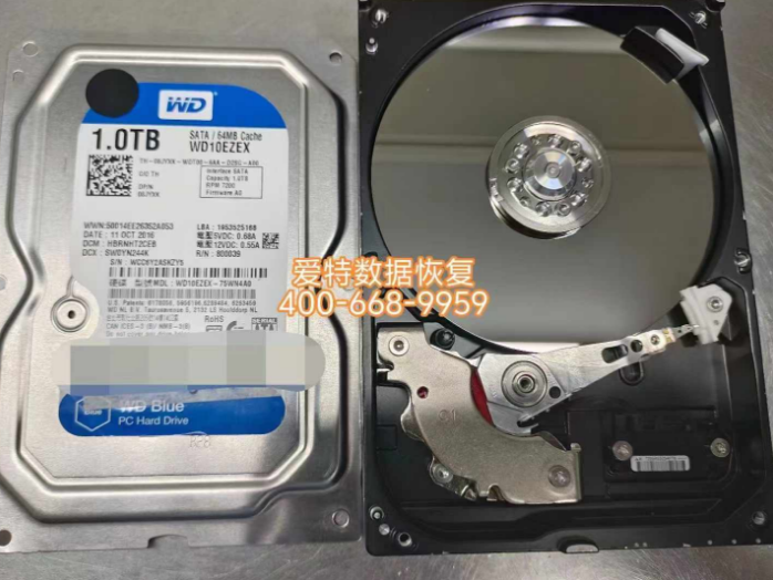西部数据1TB硬盘磁头损坏恢复情况解析