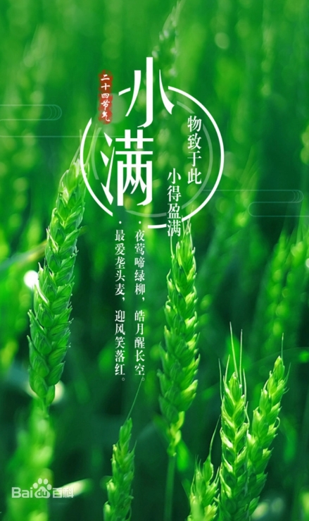 今日小满|爱特数据守护，让您 &ldquo;满&rdquo; 分安心