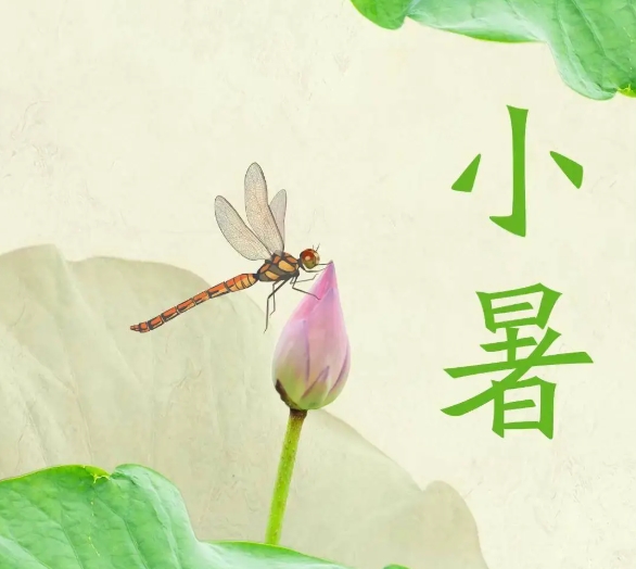 每年公历7月7日至8日,为小暑节气,夏季的第五个节气,小暑的到来,表示季夏时节的正式开始。